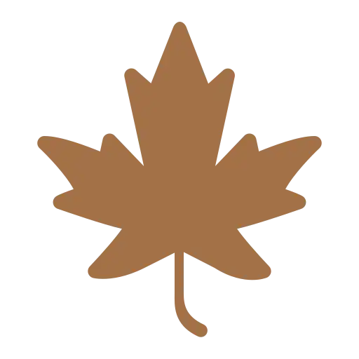 Aromatherapy Oils for Stress Relief